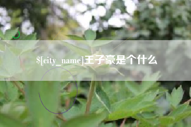 衡阳王子豪是个什么