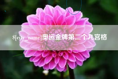 衡阳奥运金牌第二个九宫格