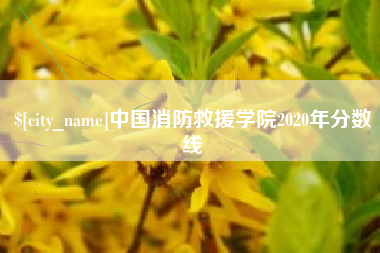 衡阳中国消防救援学院2020年分数线