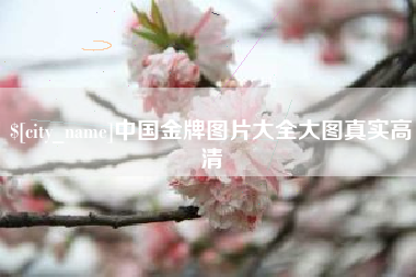 衡阳中国金牌图片大全大图真实高清