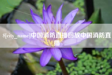 衡阳中国消防直播回放中国消防直播