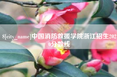 衡阳中国消防救援学院浙江招生2020分数线