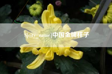 衡阳中国金牌样子