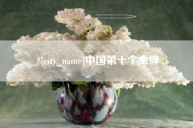 衡阳中国第十个金牌