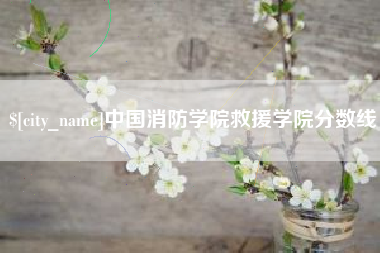 衡阳中国消防学院救援学院分数线