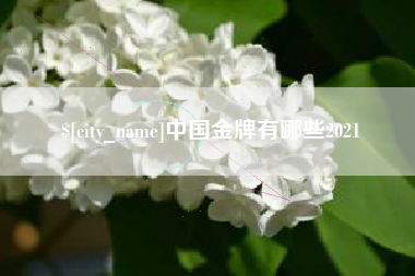 衡阳中国金牌有哪些2021