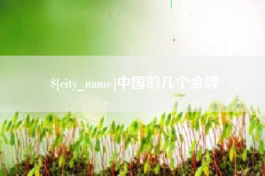衡阳中国的几个金牌