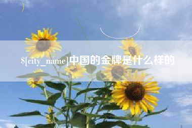 衡阳中国的金牌是什么样的