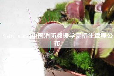 衡阳中国消防救援学院招生章程公布!