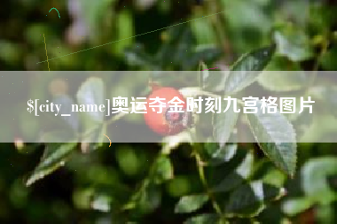 衡阳奥运夺金时刻九宫格图片