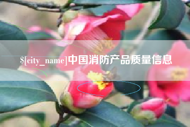 衡阳中国消防产品质量信息
