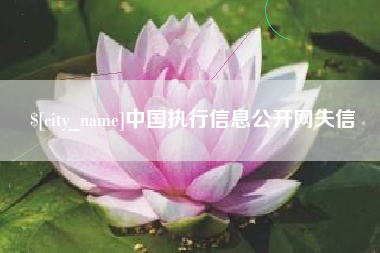 衡阳中国执行信息公开网失信