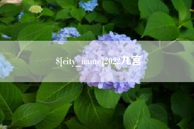 衡阳2022九宫