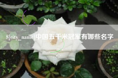 衡阳中国五千米冠军有哪些名字