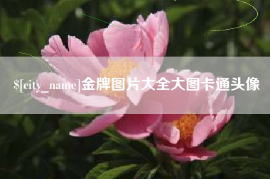 衡阳金牌图片大全大图卡通头像