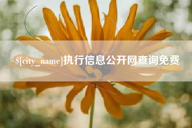 衡阳执行信息公开网查询免费