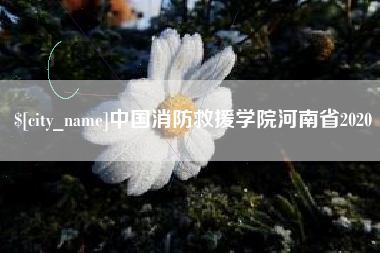衡阳中国消防救援学院河南省2020