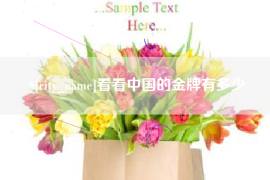 衡阳看看中国的金牌有多少